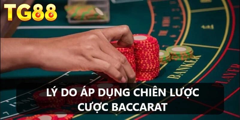 cach-danh-baccarat-khong-bao-gio-thua-ly-do