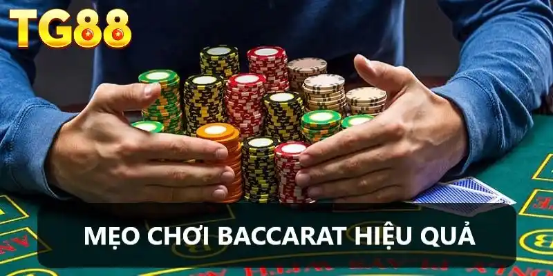 cach-danh-baccarat-khong-bao-gio-thua-meo